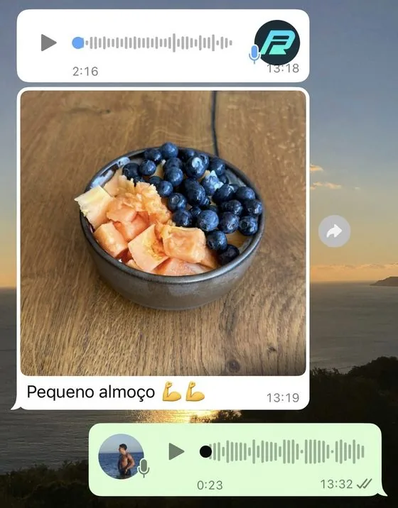 Conversa de um cliente com o André