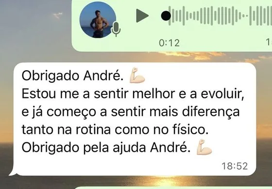 Conversa de um cliente com o André